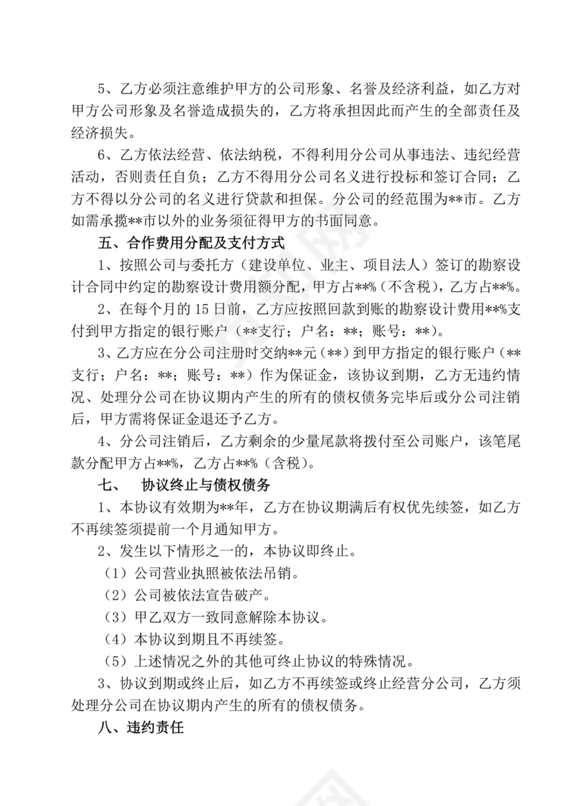 设立分公司合作协议书