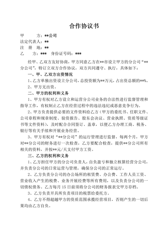 设立分公司合作协议书