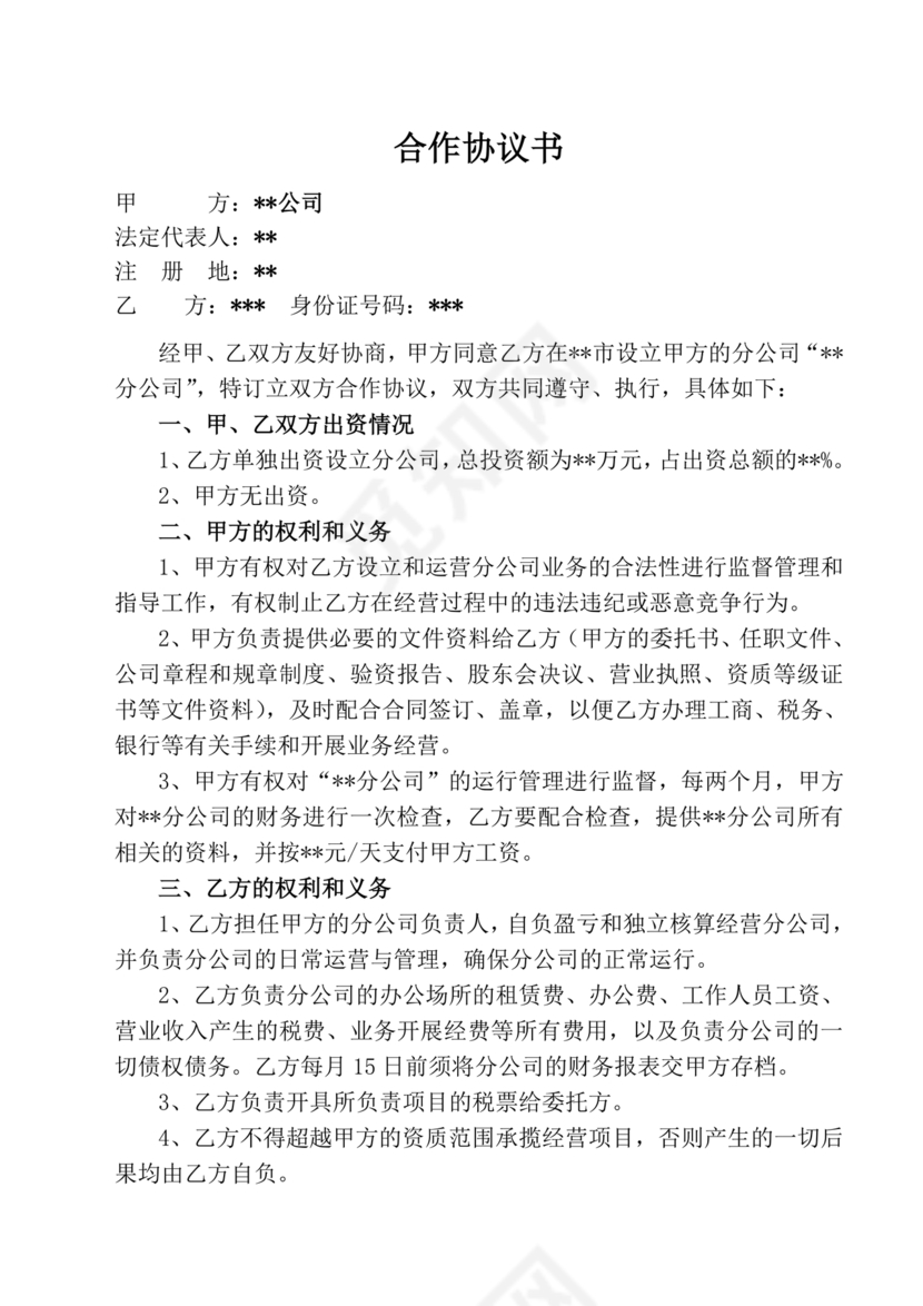 设立分公司合作协议书