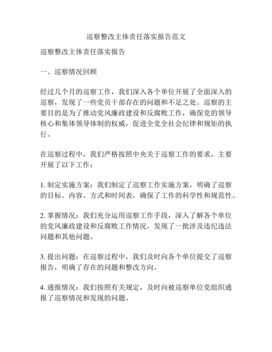 巡察整改第一责任人落实情况报告