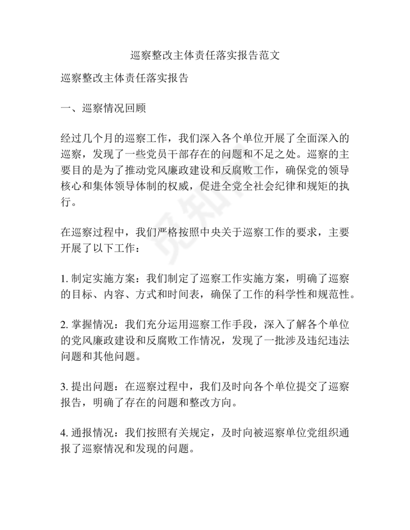 巡察整改第一责任人落实情况报告