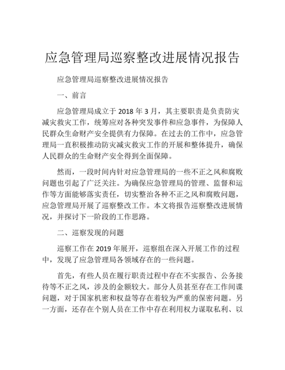 应急管理局巡察整改报告