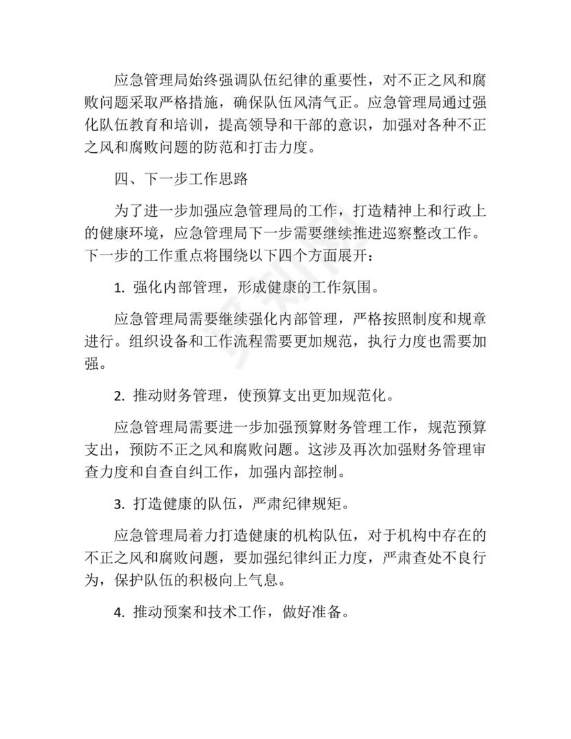 应急管理局巡察整改报告