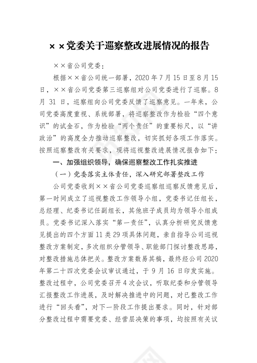 巡察问题整改情况报告