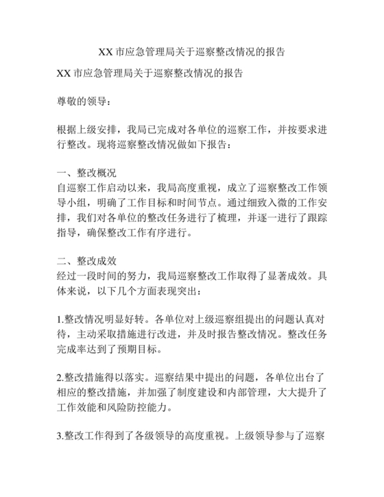 应急管理局巡察整改报告