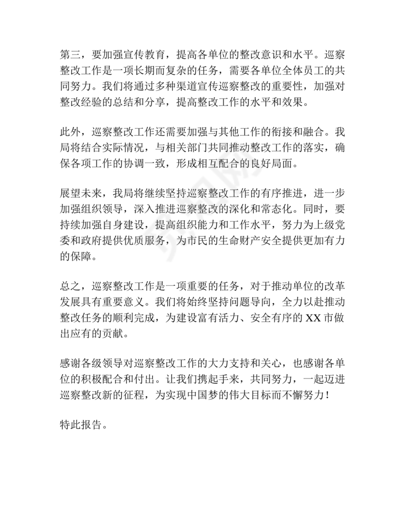 应急管理局巡察整改报告