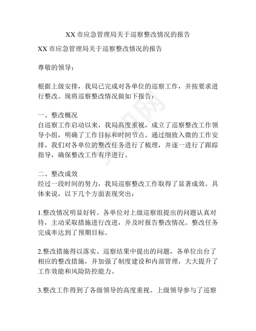 应急管理局巡察整改报告