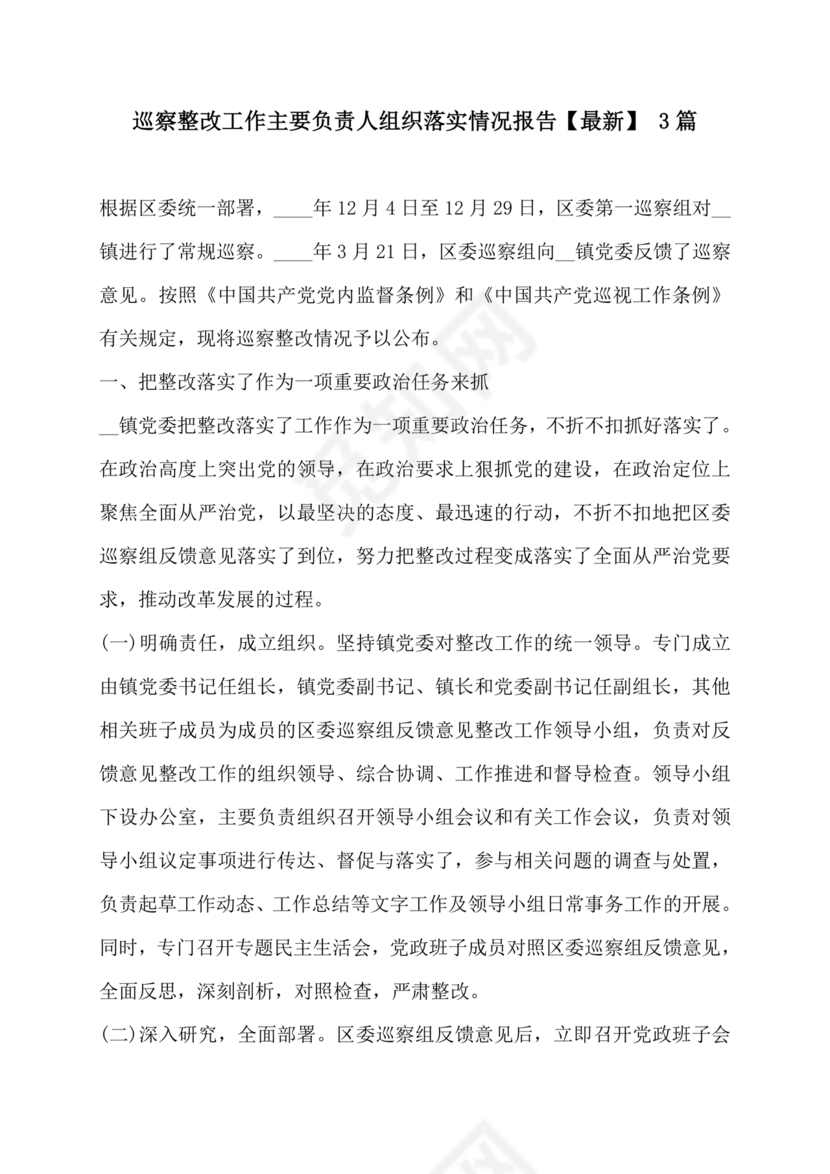 巡察整改第一责任人落实情况报告