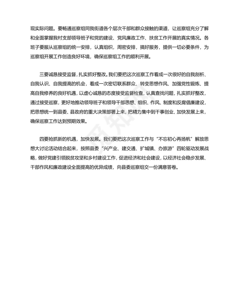 支部书记巡察整改报告