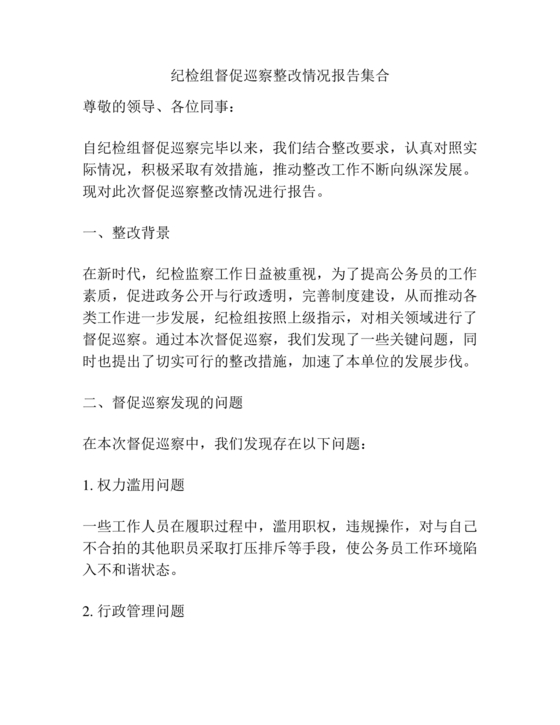 纪检巡察问题整改报告