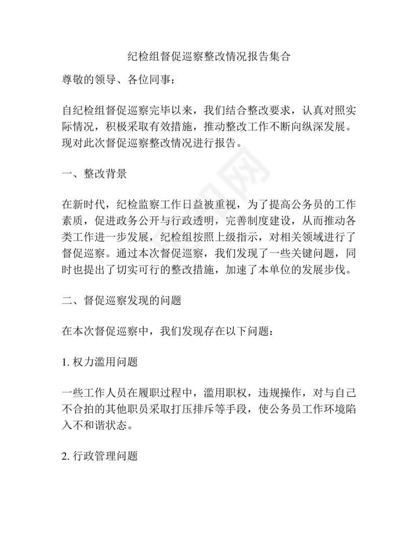 纪检巡察问题整改报告