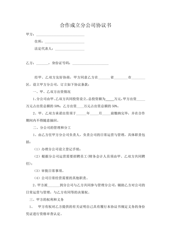 设立分公司合作协议书