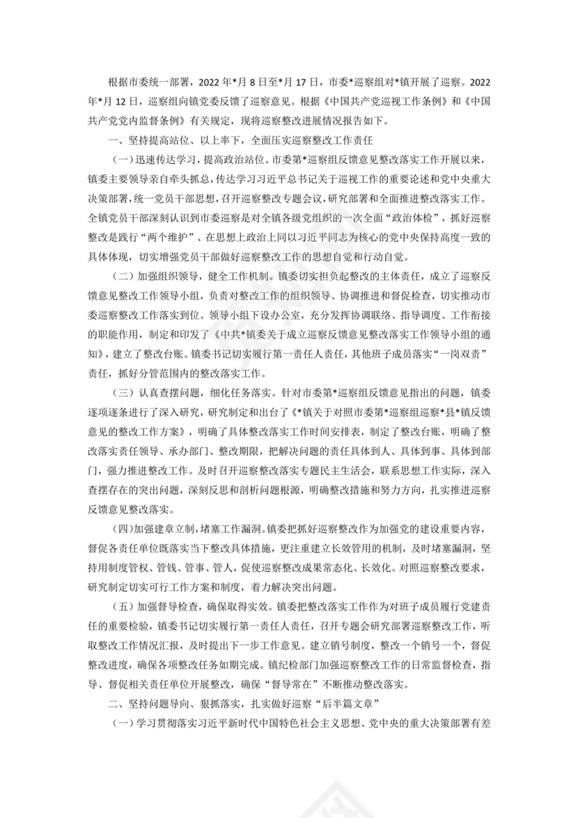 巡察整改第一责任人落实情况报告