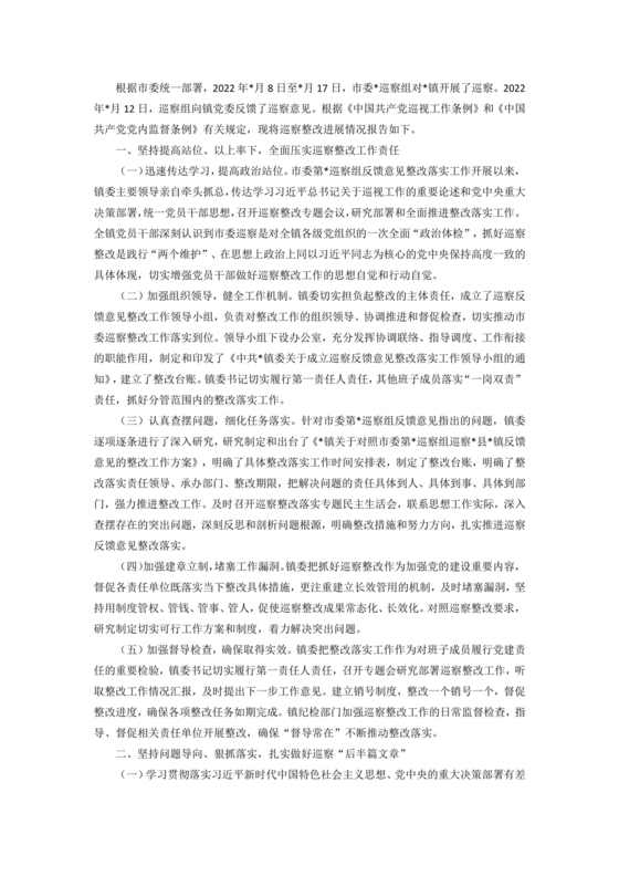 巡察整改第一责任人落实情况报告