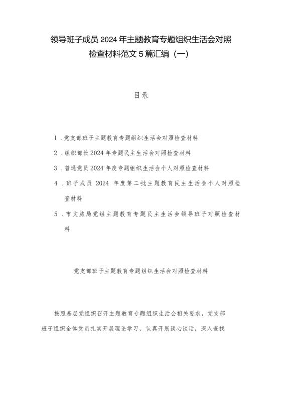 班子成员对照检查材料