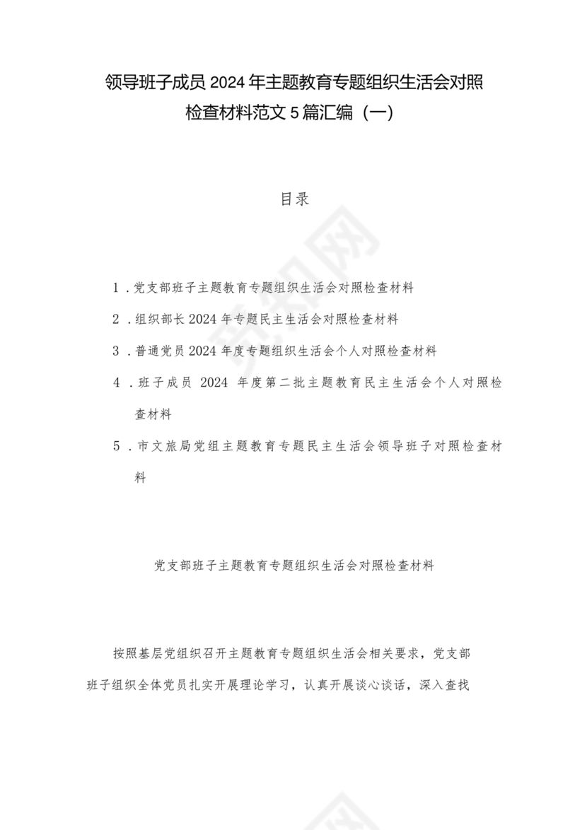 班子成员对照检查材料