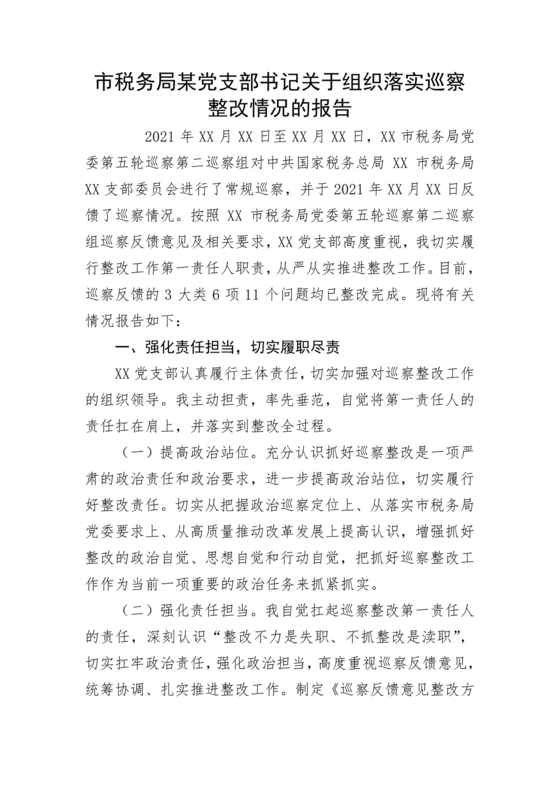 支部书记巡察整改报告