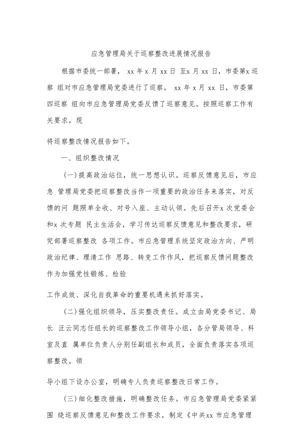 应急管理局巡察整改报告