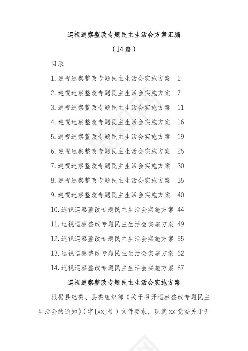 巡察整改专题民主生活会方案