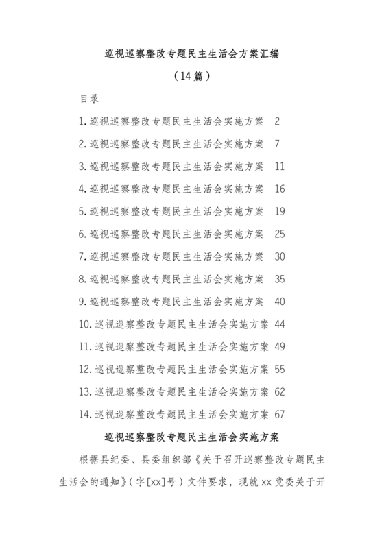 巡察整改专题民主生活会方案