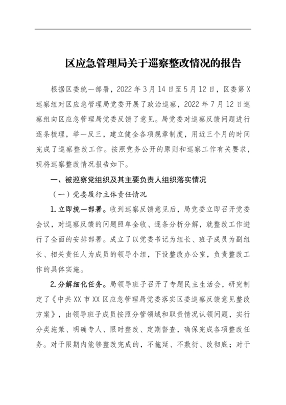 应急管理局巡察整改报告