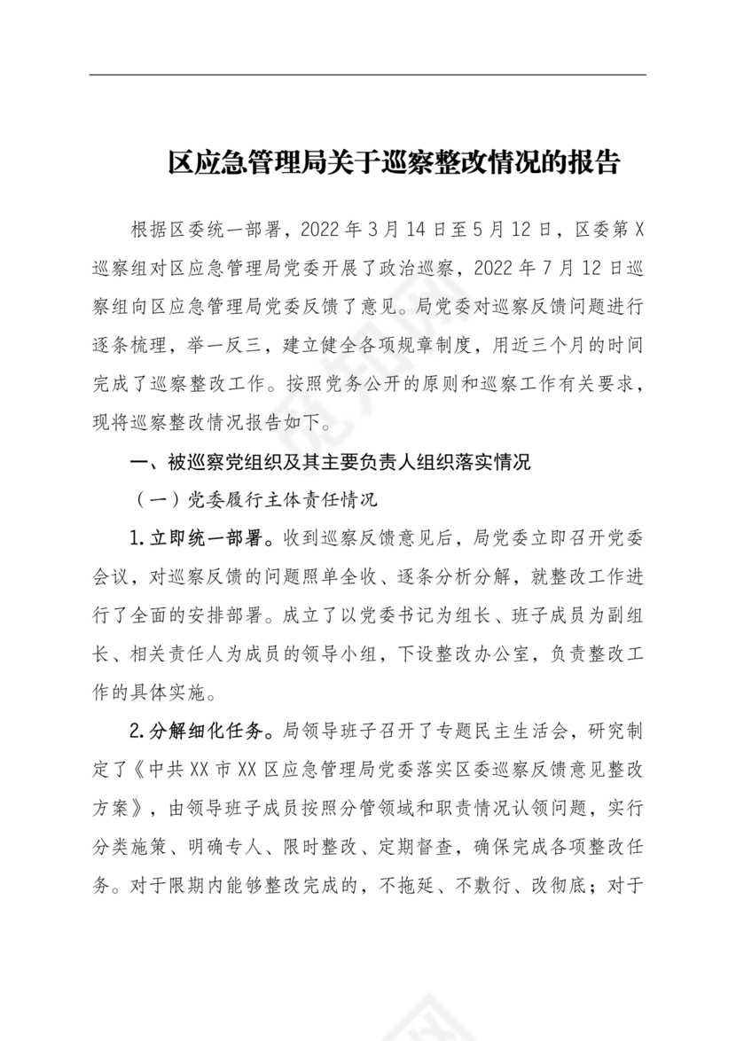 应急管理局巡察整改报告