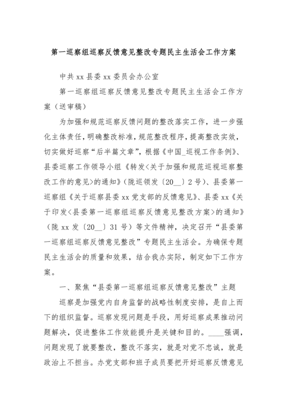 巡察整改专题民主生活会方案