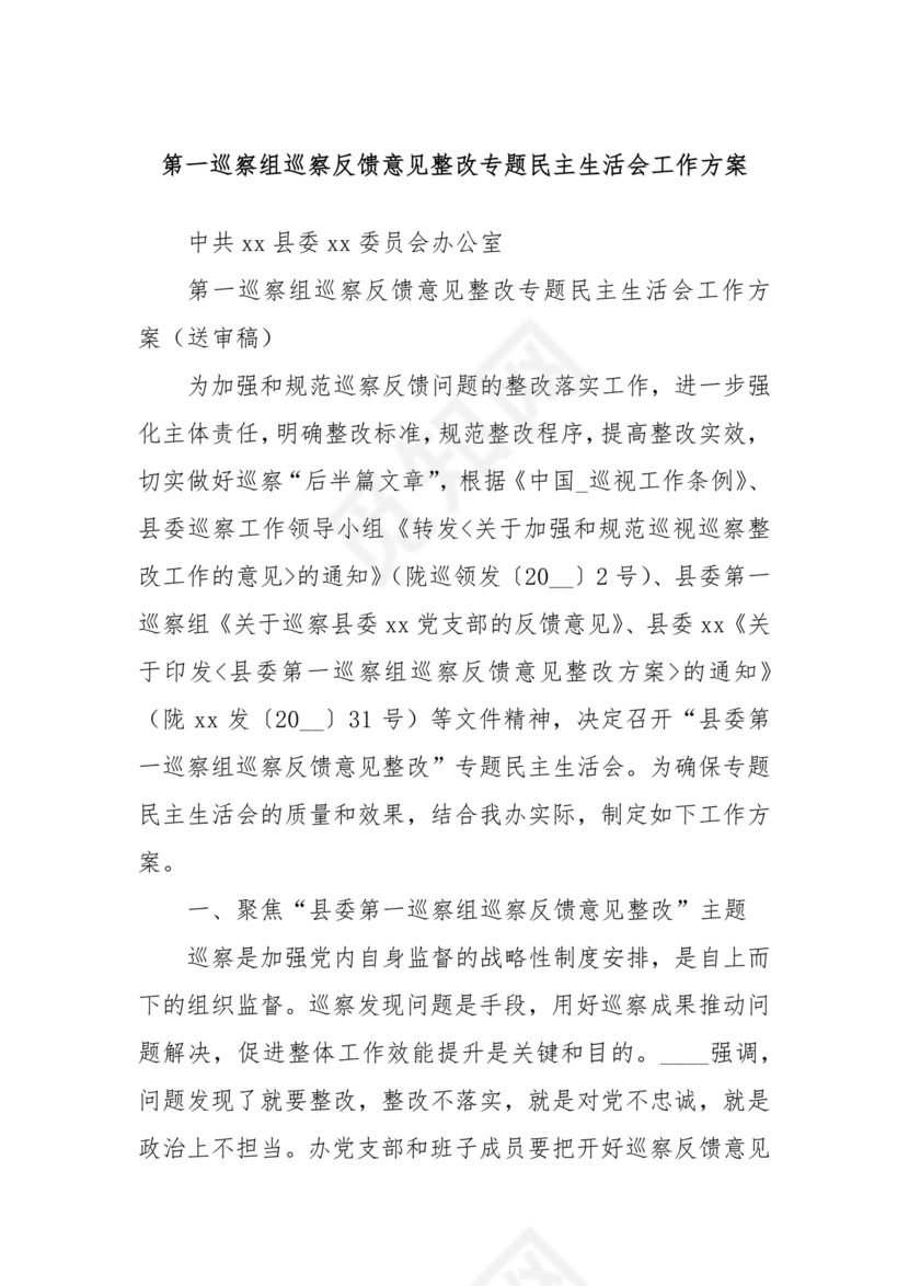 巡察整改专题民主生活会方案