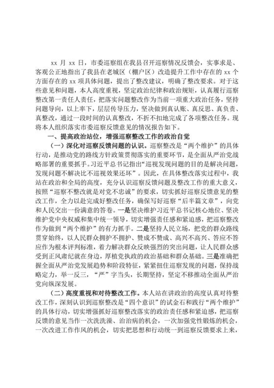 巡察整改第一责任人落实情况报告