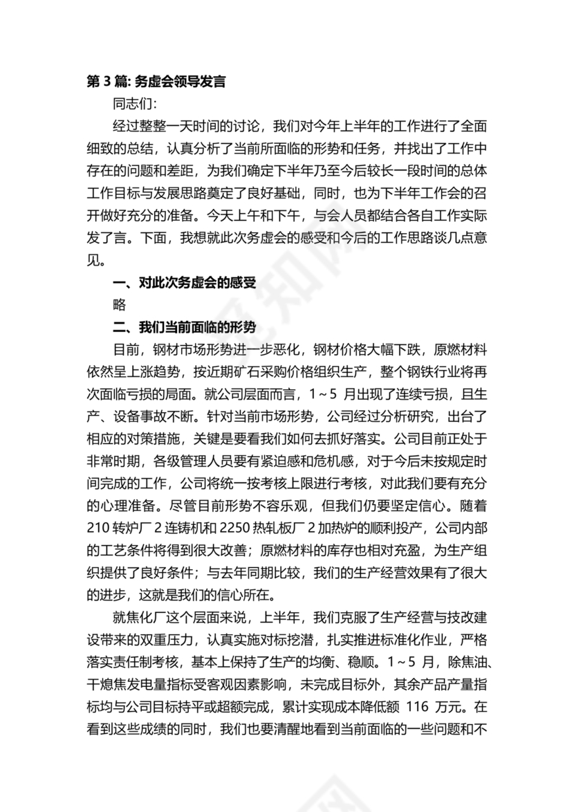 领导务虚会发言稿