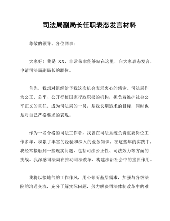 副局长任职表态发言简短