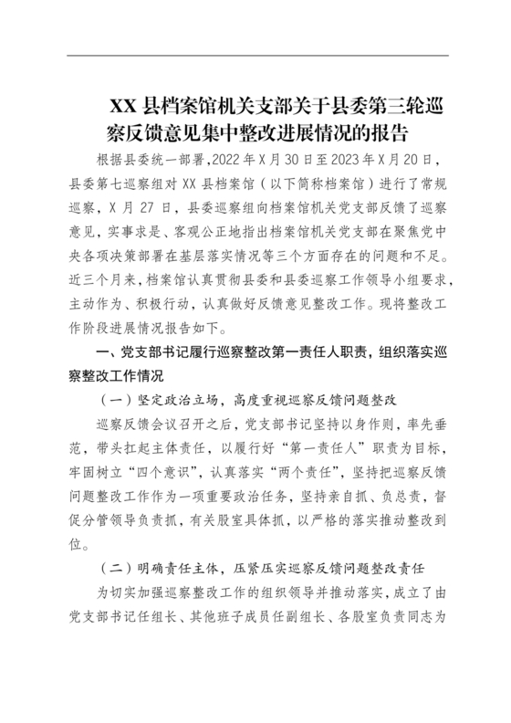 档案馆巡察整改报告