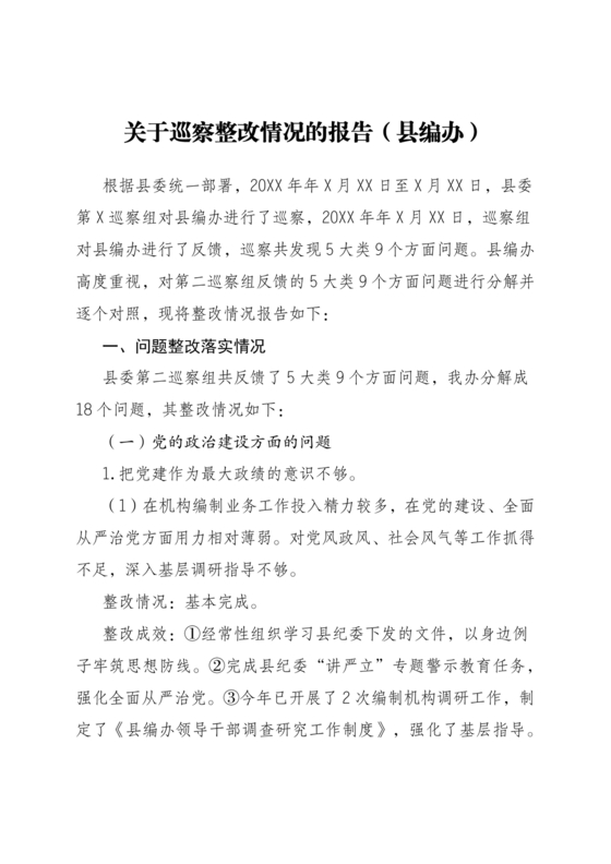 编办巡察整改报告