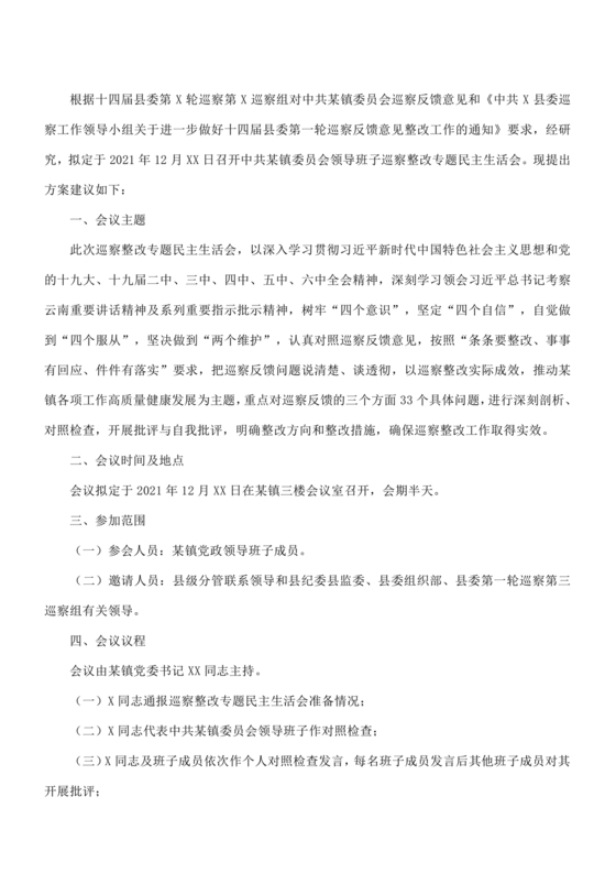 乡镇巡察整改方案