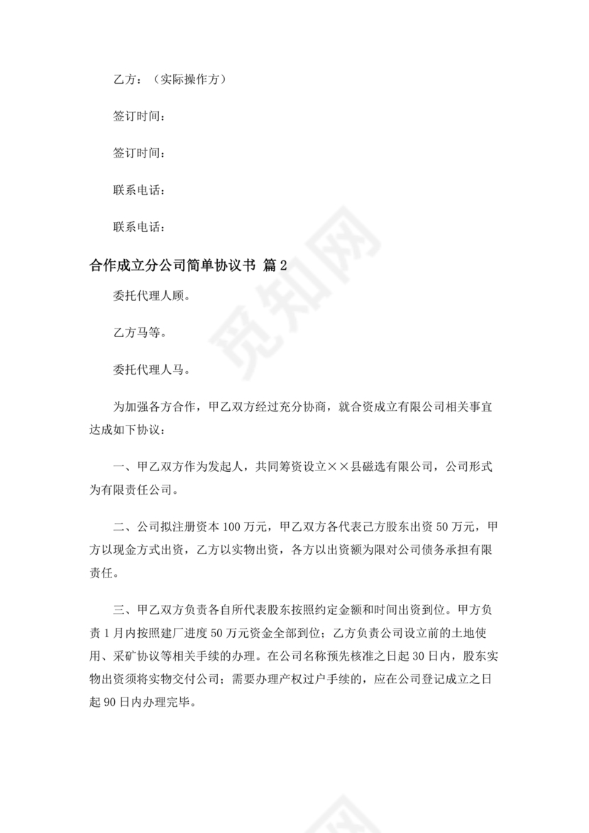 设立分公司合作协议书