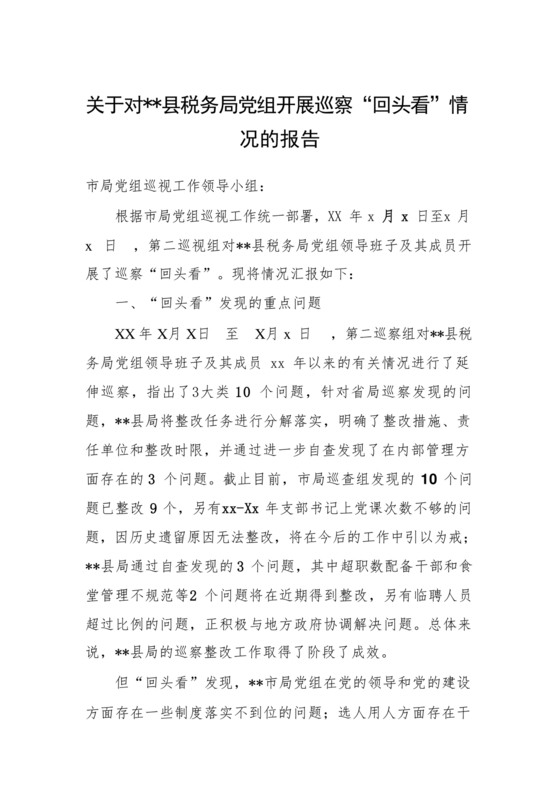 巡查整改回头看自查报告