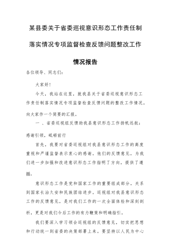 意识形态巡视整改报告