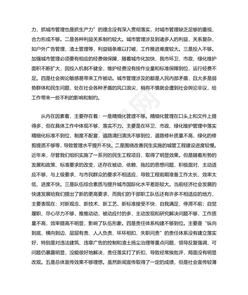 城管务虚会发言材料