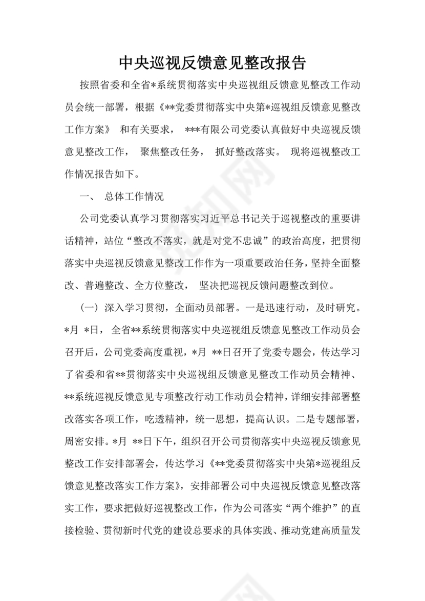 中央巡视整改报告