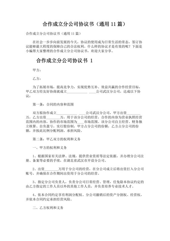 设立分公司合作协议书