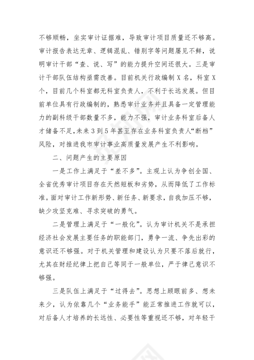 审计整改专题民主生活会对照检查材料