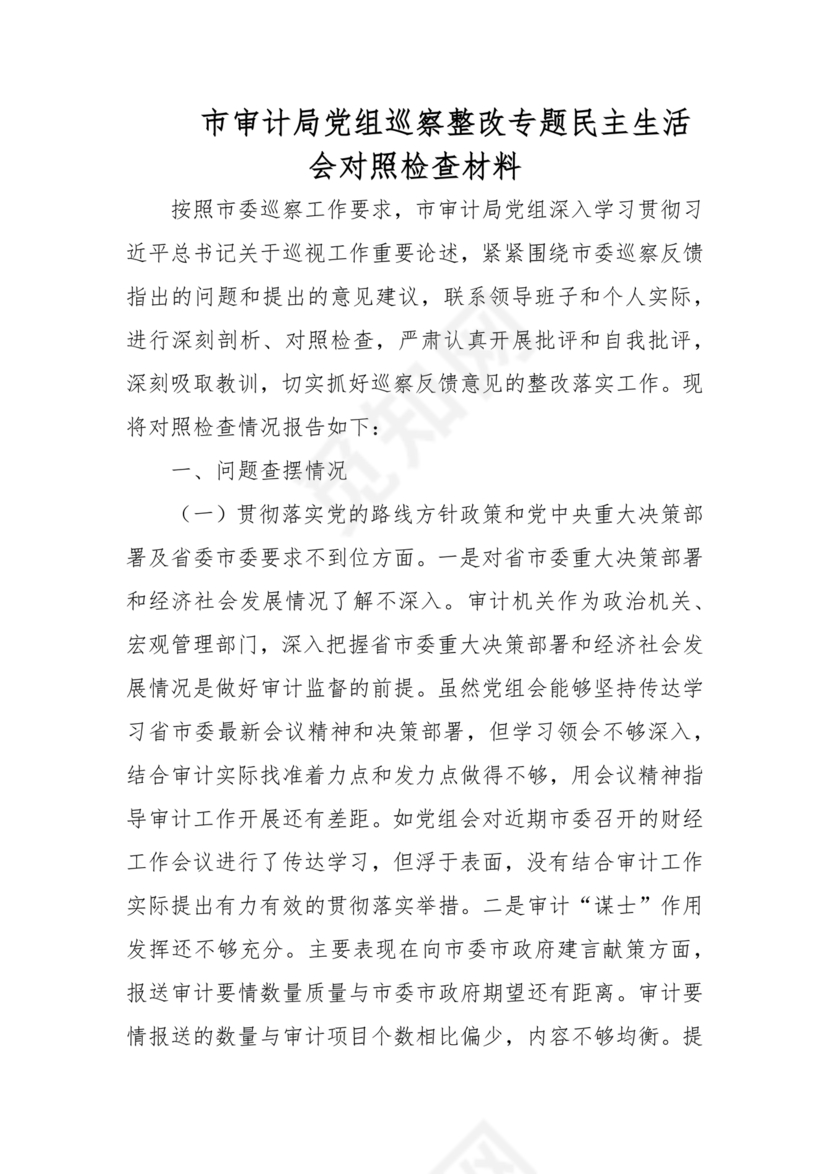 审计整改专题民主生活会对照检查材料