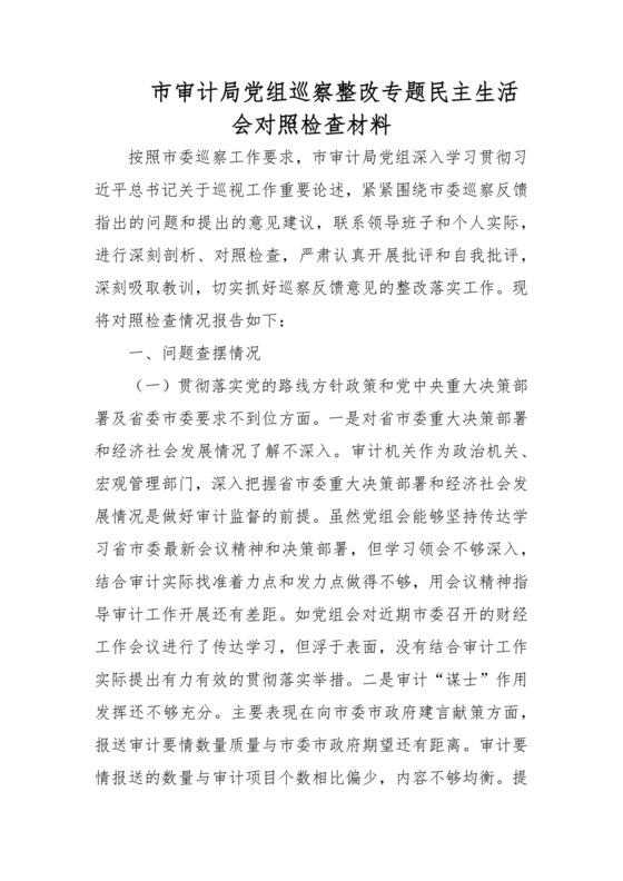 审计整改专题民主生活会对照检查材料