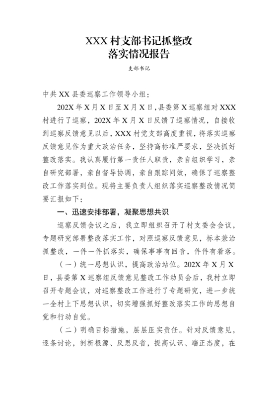 支部书记巡察整改报告