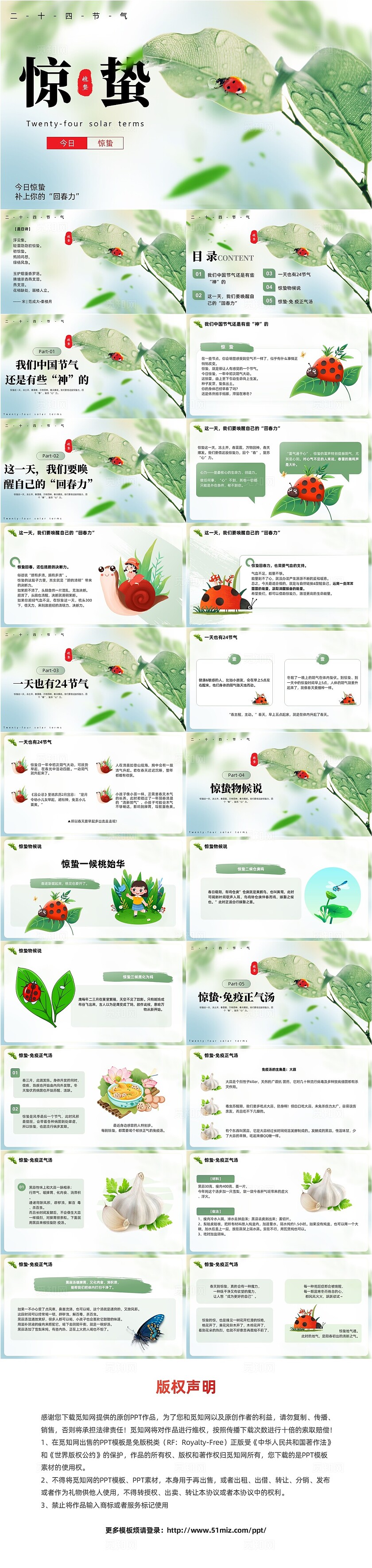 绿色实拍小清新惊蛰节气介绍PPT二十四节气