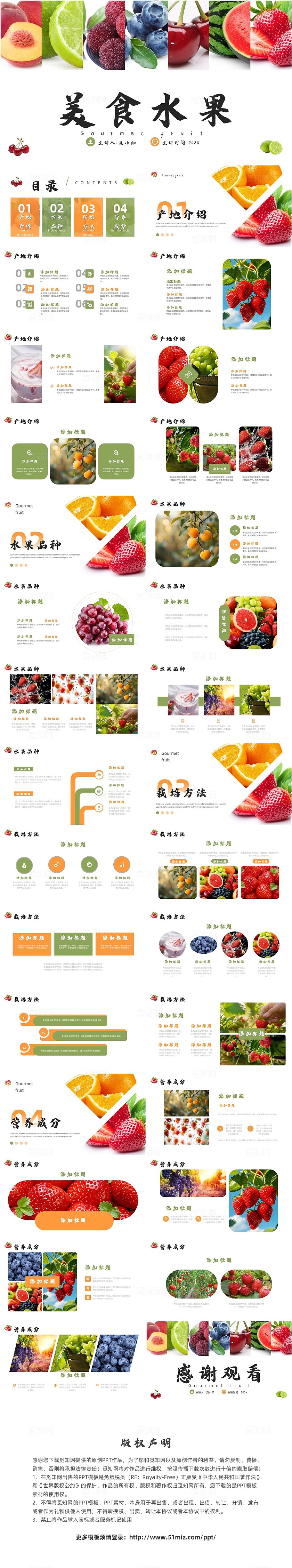 简约风水果介绍PPT模板