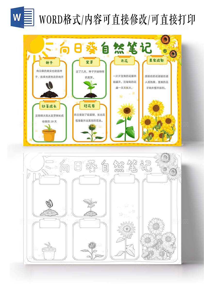 植物观察日记生长观察日记植物生长向日葵自然日记电子小报手抄报植树节
