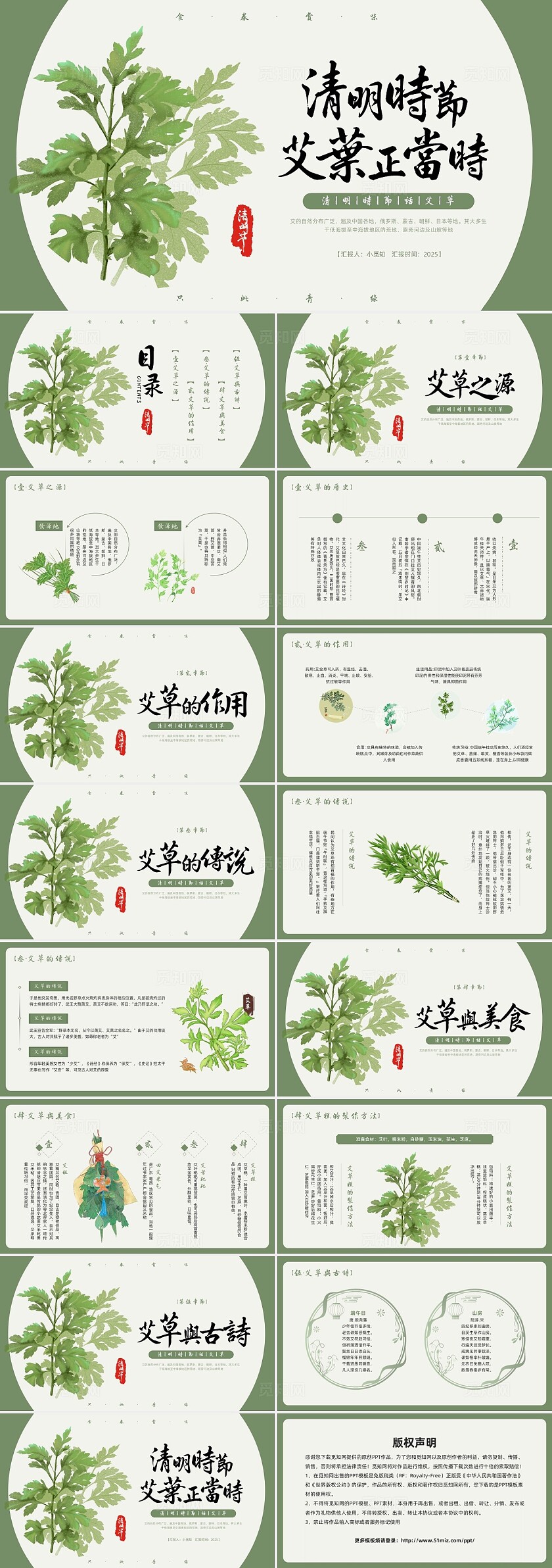 绿色插画卡通清明艾草PPT模板宣传PPT动态PPT清明节