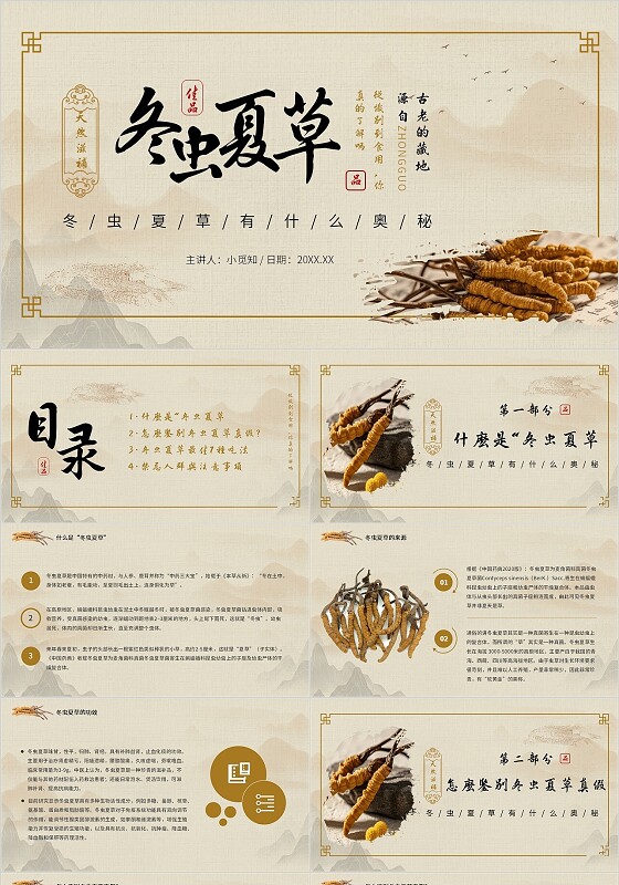褐色简约古风冬虫夏草宣传介绍教育课件PPT模板