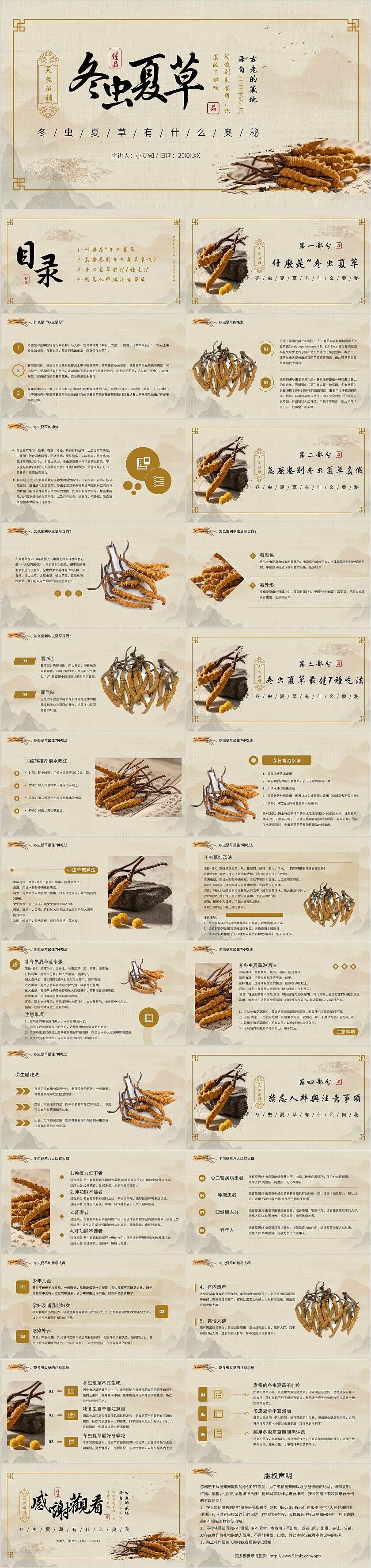 褐色简约古风冬虫夏草宣传介绍教育课件PPT模板